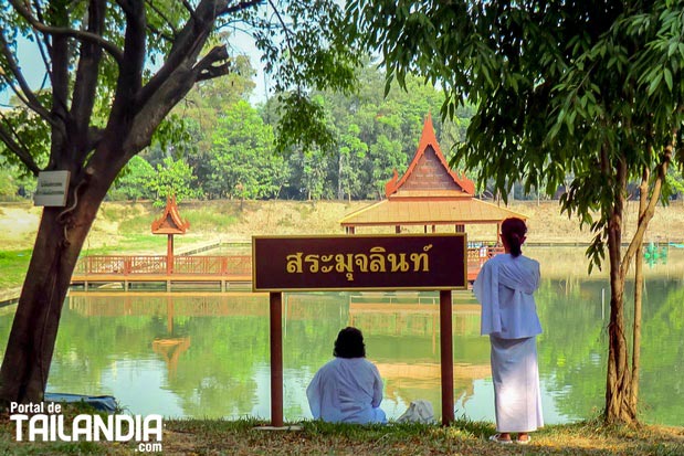Mujeres meditando en Ayutthaya