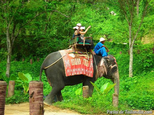Paseo con elefante