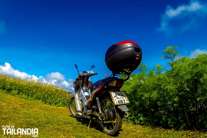 Alquilando una moto en Chiang Mai