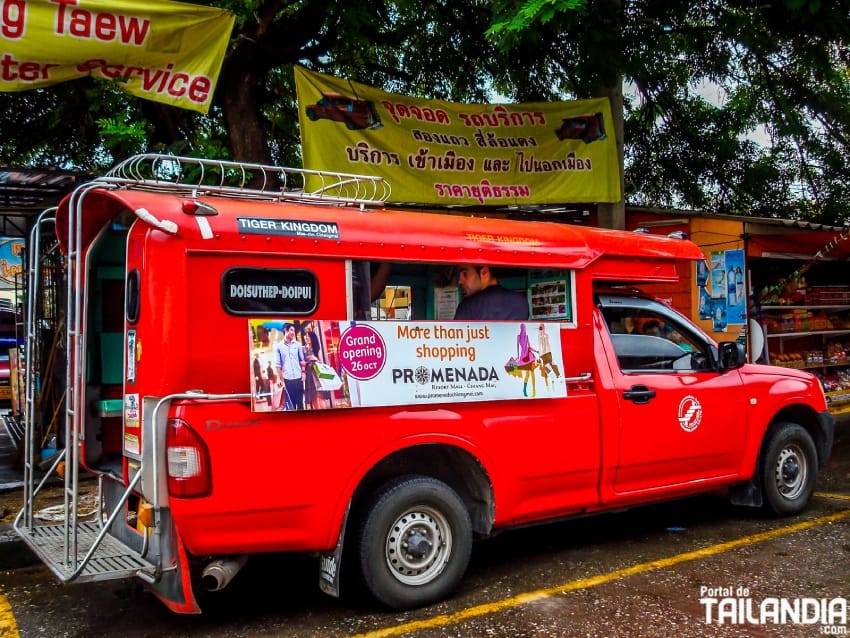 Moverse por Chiang Mai con red truck