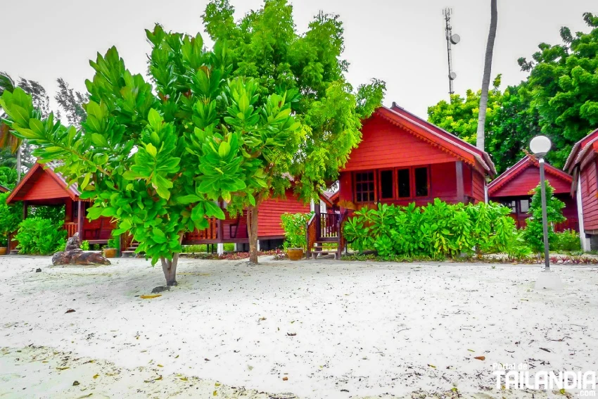 Alojamiento en Koh Lipe