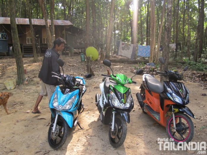 Alquilar motos en islas de Tailandia