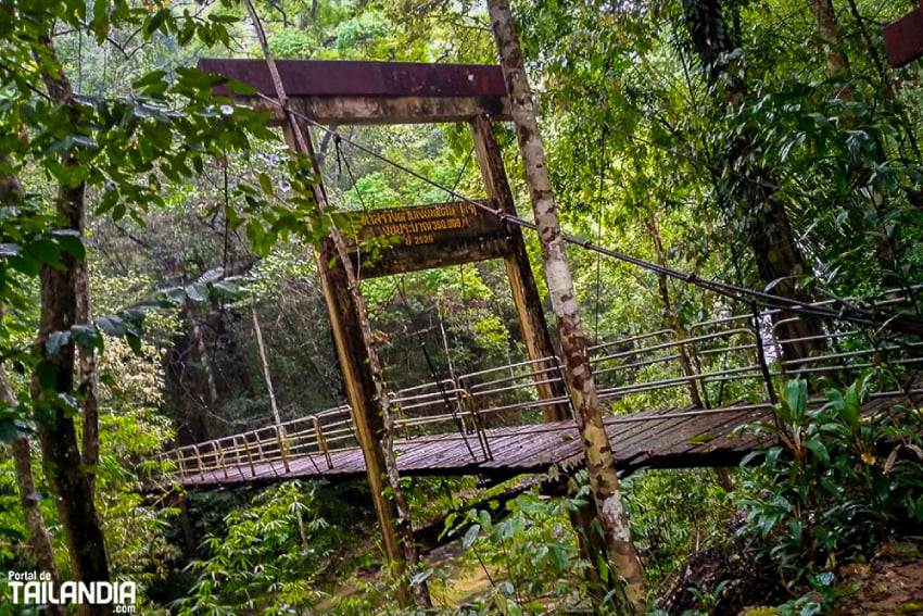 Cruzando el puente hacia la cascada