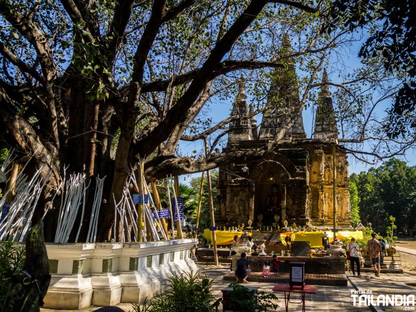 Accediendo al Wat Jed Yod de Chiang Mai