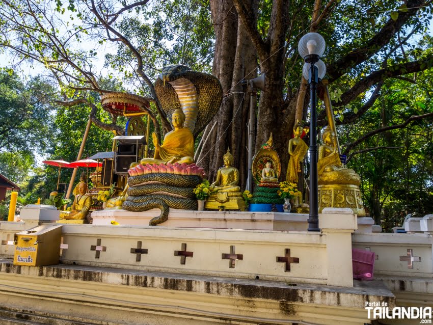 Recorriendo templos de Chiang Mai