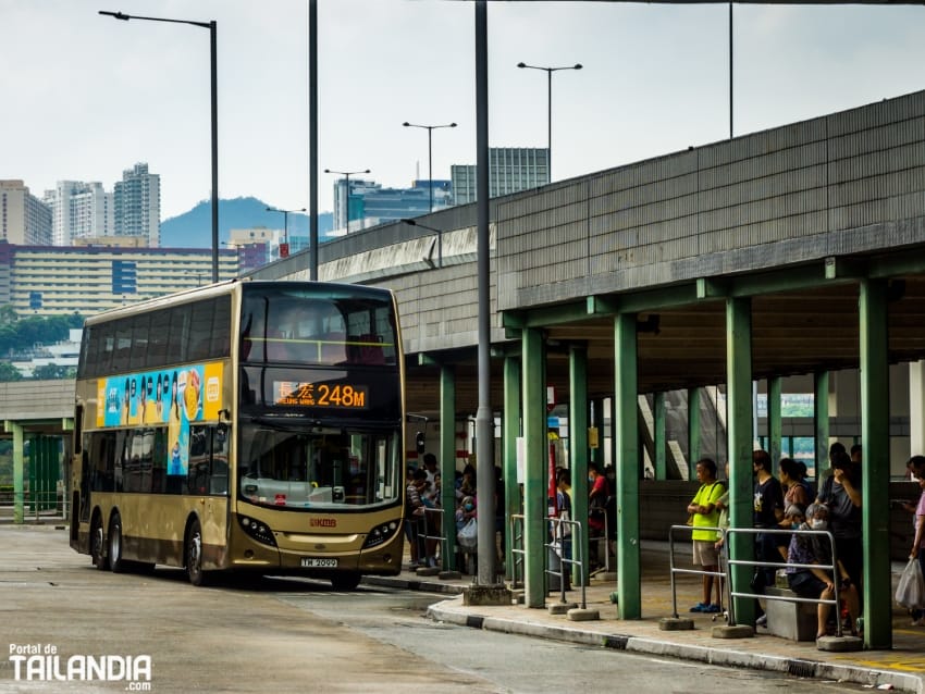 Autobuses urbanos