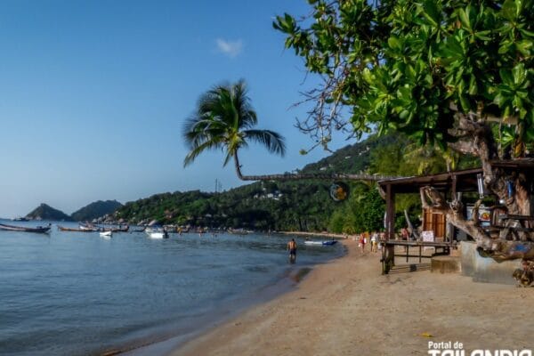 Bucear en Koh Tao en Español Bucear en Koh Tao en Español