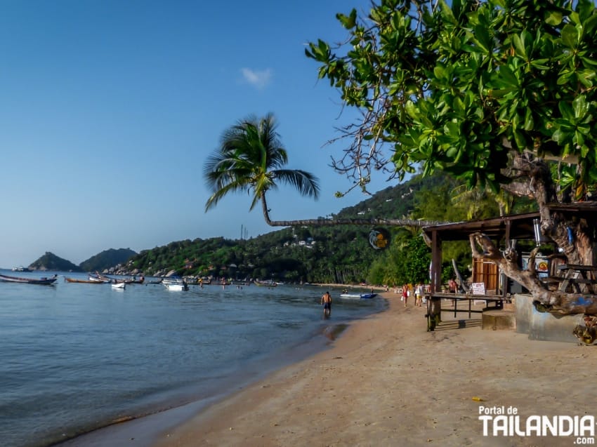 Bucear en Koh Tao en Español