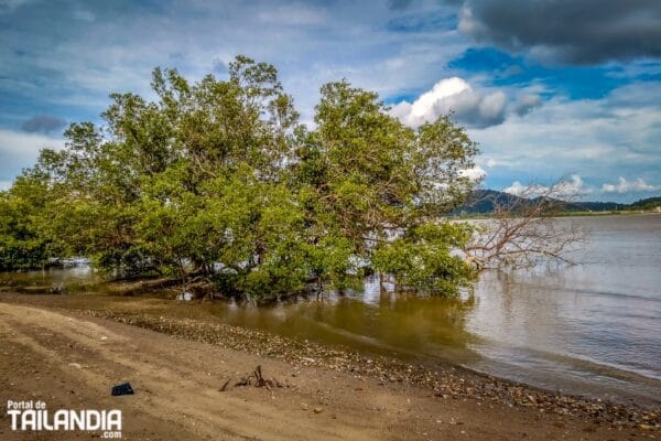 El tiempo en Phuket y su previsión meteorológica El tiempo en Phuket y su previsión meteorológica