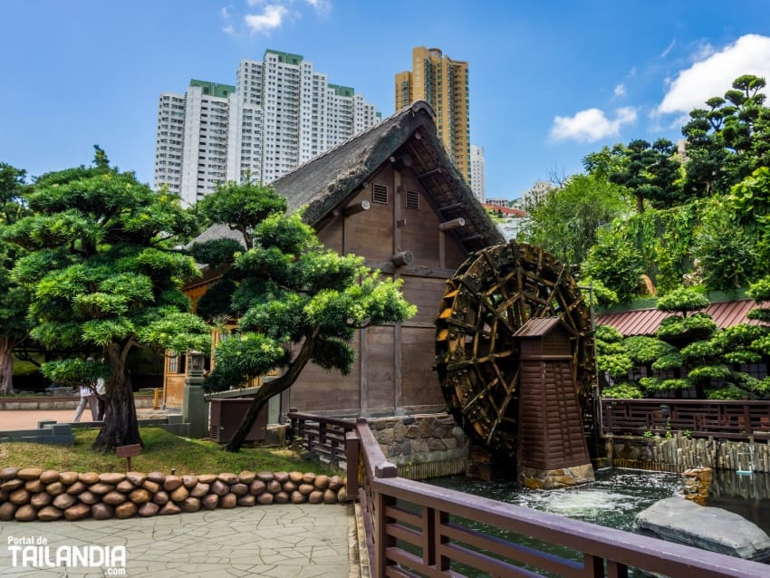 Explorando el jardín zen de Hong Kong