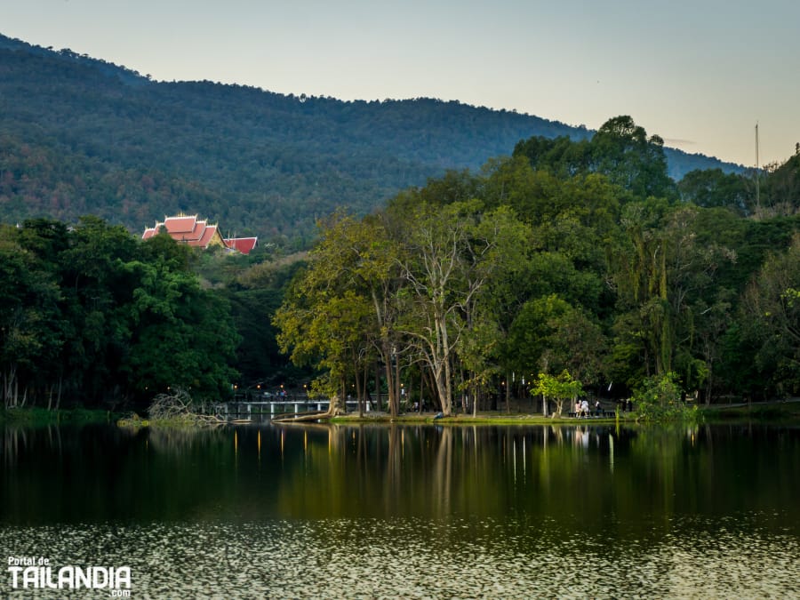 Contemplado las montañas de la ciudad de Chiang Mai