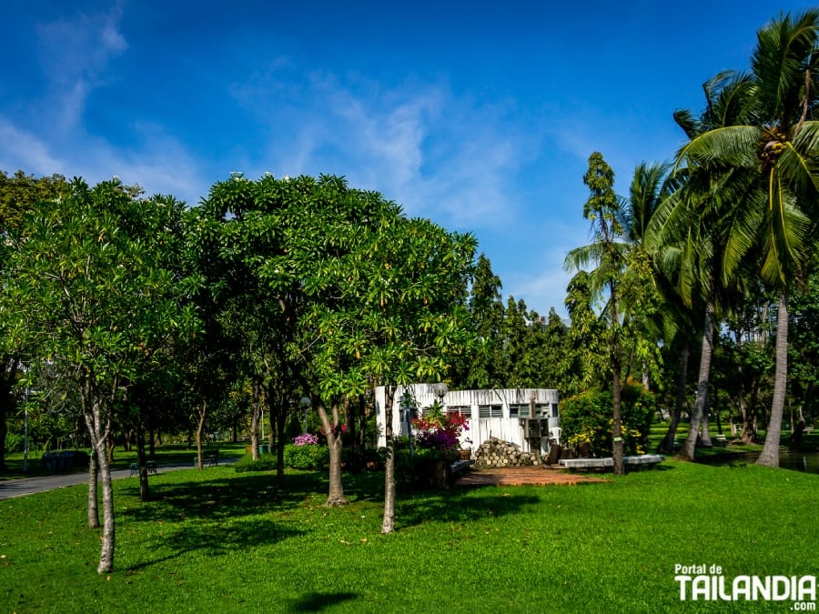 Conociendo el parque de Chatuchak en Tailandia