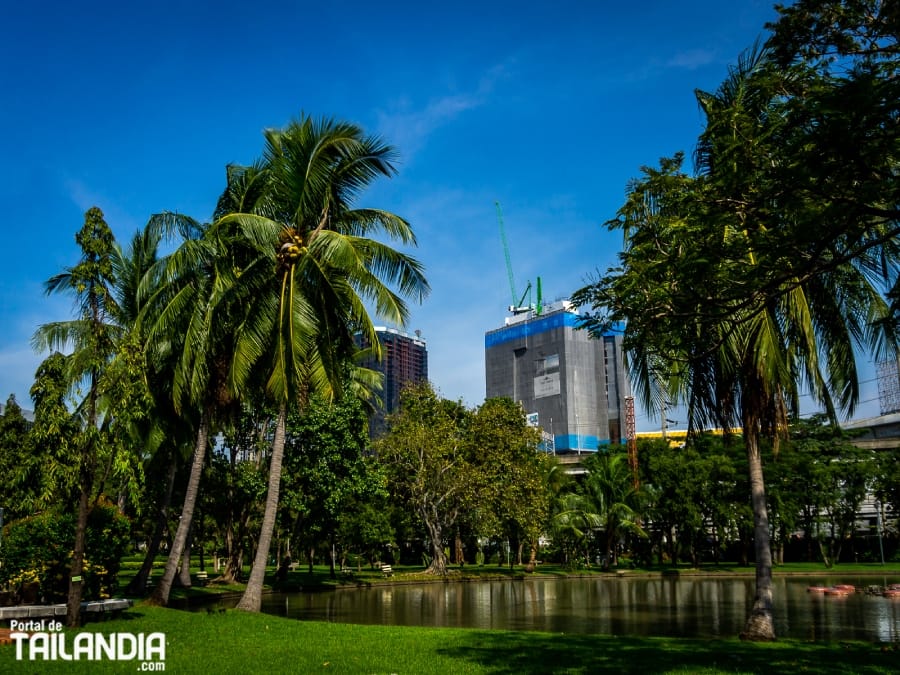 Tranquilidad en el parque de Chatuchak