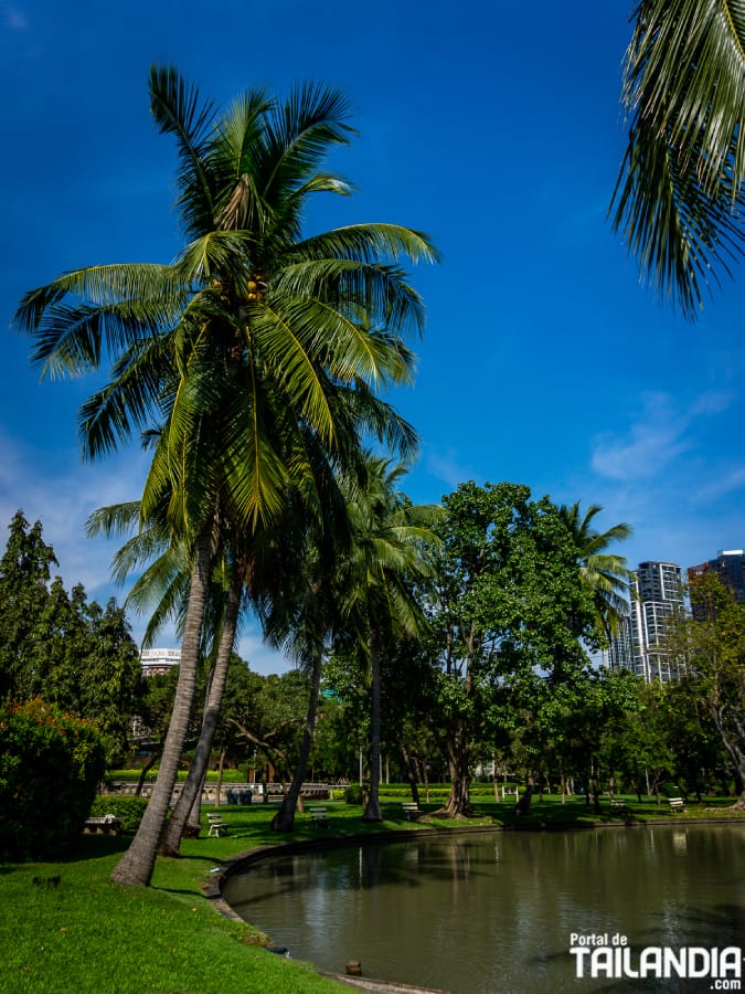 Visitando el parque de Chatuchak en Bangkok