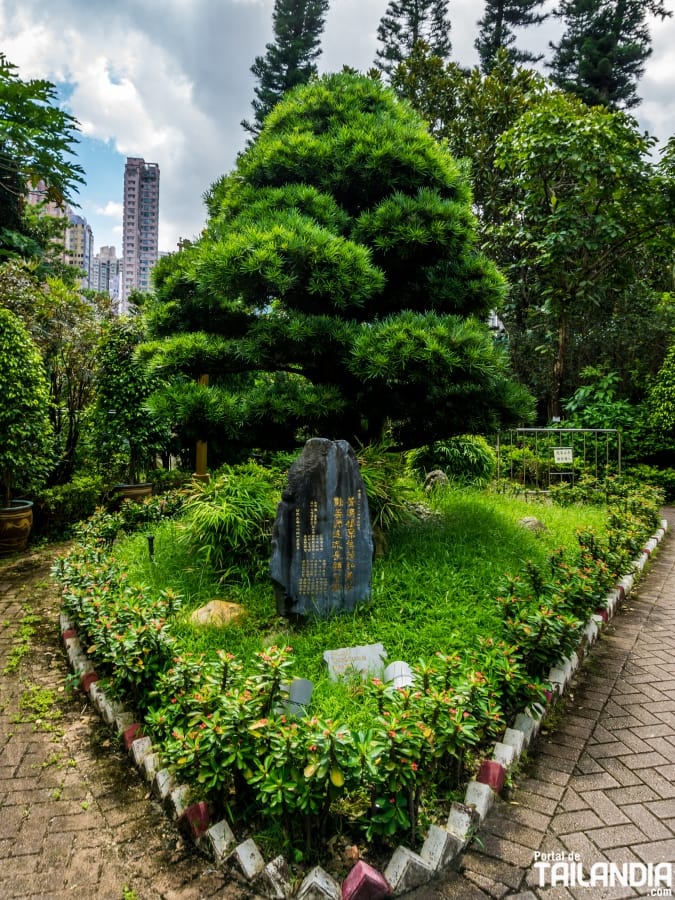 Abeto en el jardín de los deseos de Hong Kong