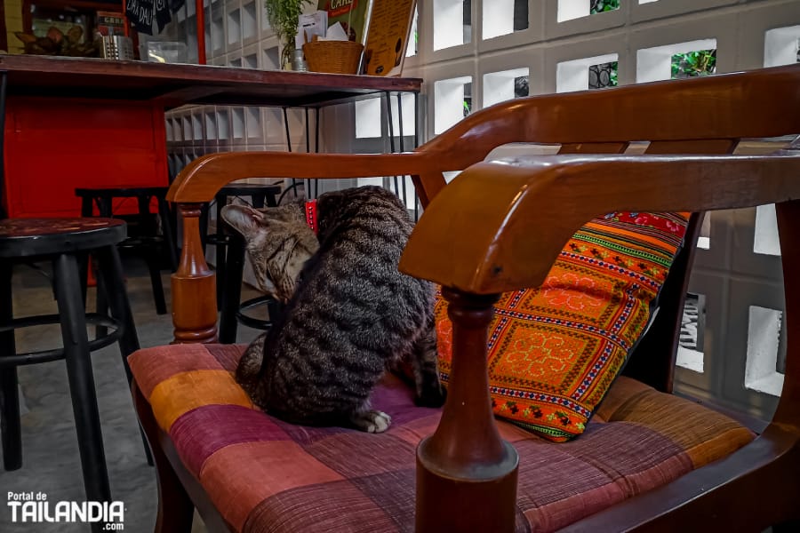 DaraDalay un restaurante del norte de Bangkok